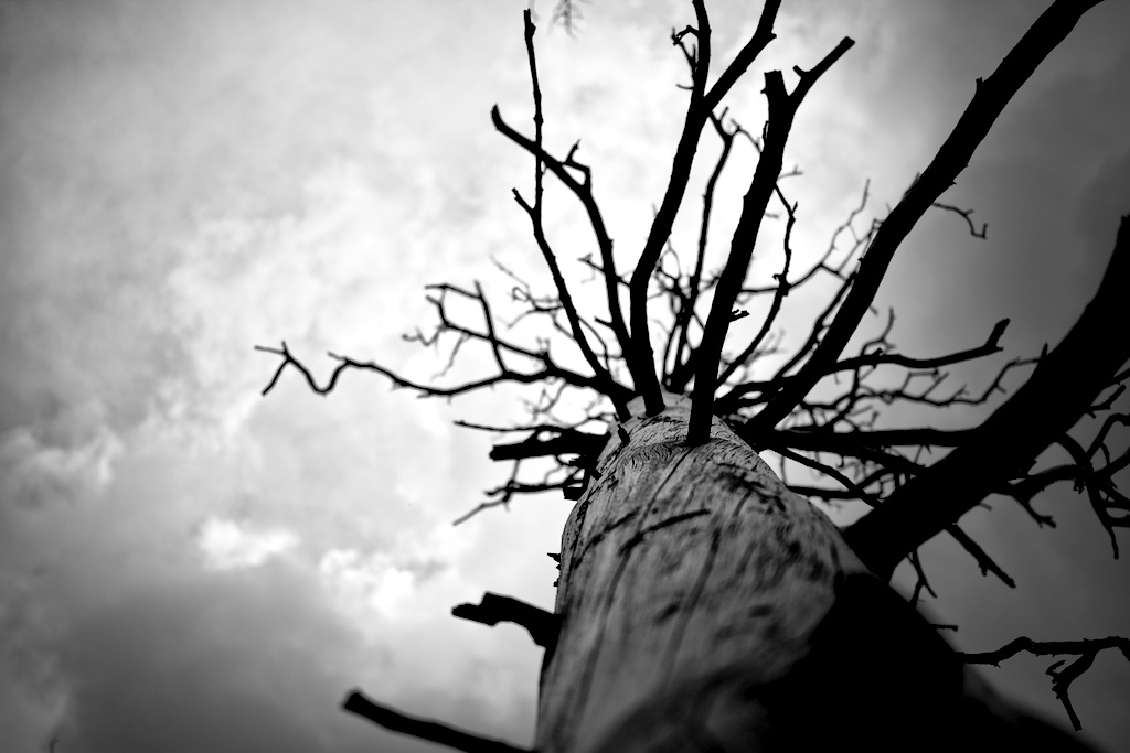From Darkness